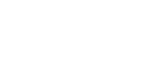 SPEEDOK